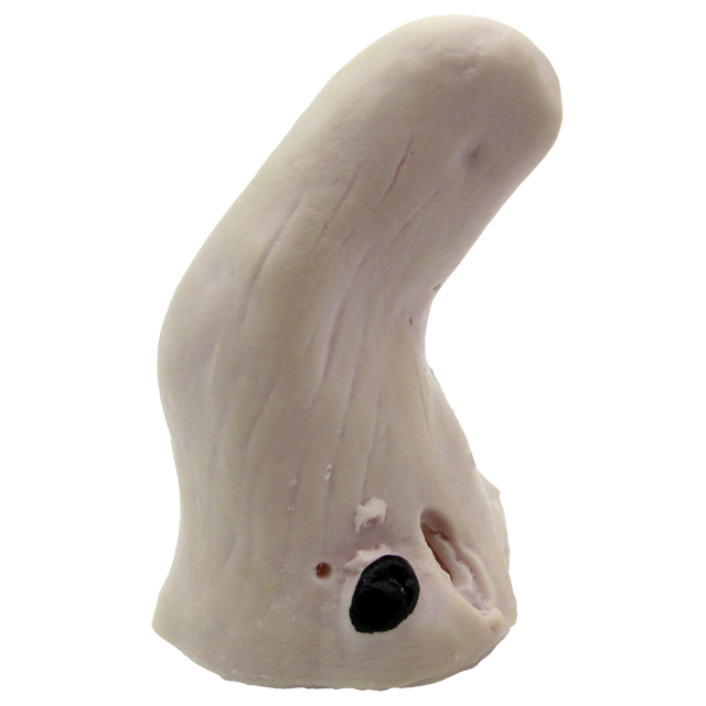 Nariz Bruja