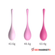 Kit bolas kegel