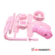 Kit sado 10 piezas_Rosado