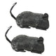 Raton Pequeño